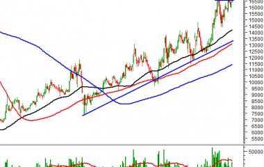 ĐẦU TUẦN MỚI, TVC TIẾP TỤC TRONG TOP 10 MÃ CỔ PHIẾU ĐƯỢC KHUYẾN NGHỊ